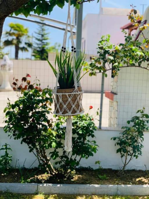 Mom'S Seaside Home Karianí Exterior foto