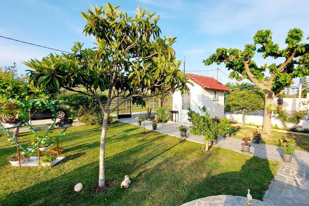 Mom'S Seaside Home Karianí Exterior foto